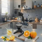 1707 MEYVE PRESİ (INDUSTRIAL TYPE FRUIT PRESS) thumbnail 2