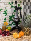1706 MEYVE PRESİ (INDUSTRIAL TYPE FRUIT PRESS) thumbnail 2