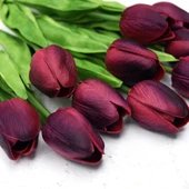 İthal Özel Pink Dolphin Lale Soğanı  İri Kafa Özel Lale Soğanı (4 Soğan) - 1