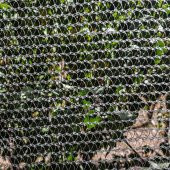 1x7 KUŞ FİLESİ, KEDİ KORUMA PERDESİ, BALKON FİLESİ HAZIR KOPÇALI thumbnail 4