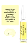 BEAUTY COLLECTİON Beauty Face Niacinamide & Ha Besleyici Onarıcı Yenileyici Ampul X6 thumbnail 3