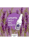 AVIDERM Bit Kovucu Lavanta Yağlı Saç Spreyi 100 ml thumbnail 1