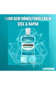 LİSTERİNE Cool Mint Ağız Bakım Suyu 250 ml thumbnail 5
