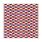 Armine E25YA9309D02 01 Dj Saf İpek Eşarp 9309D (T) thumbnail 2