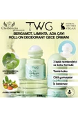 TWG Roll-on Deodorant (Karlı Çam Ormanı) 30ml thumbnail 1