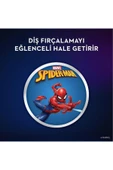 ORAL-B Stages Çocuklar Için Diş Fırçası Yedek Başlığı Spiderman 2 Li thumbnail 6