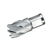 Alfra ALFRA Hss Basıc Serisi 14 x 30 mm Freze Ucu F1907014025 thumbnail 1