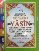 Çok Kolay Okunabilen İri Yazılı 41 Yasin (Çanto Boy, Kod: 165) - 1