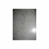 BORU,FREN MERKEZİ 5152164 thumbnail 1