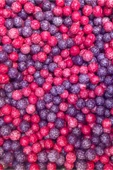 Hemdem Karışık Meyve Aromalı Draje 250 gr - 100% Meyve Aroması - 2
