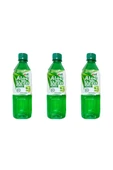VİNUT ALOE VERA PARÇACIKLI İÇECEK 500 ML X3 ADET - 1