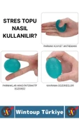Ergonomik Stres Egzersiz Rehabilitasyon Fizyoterapi Silikon El Bilek Parmak Güçlendirme Topu 4lü SET - 2