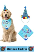 Evcil Hayvan Pet İlgi Çekici Moral Yükselten Köpekler İçin Eğlenceli Ödül Doğum Günü Partisi Seti thumbnail 2