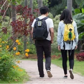 Güneş Enerjili Solar Powerbank 10000 Mah thumbnail 5