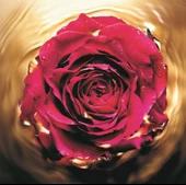 Lancome Absolue Revitalizing Eye Canlandırıcı Göz Serumu 15 Ml - 6