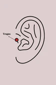 Litae Trend BFS 316L Çelik Gümüş Renk Zirkon Taşlı Kanat Tragus Piercing - 2