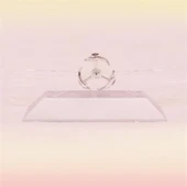 Buffer® Dekoratif Masa Üstü Obje Manyetik Kinetik Orbital Dönen Yunuslar - 1