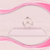 Buffer® Dekoratif Masa Üstü Obje Manyetik Kinetik Orbital Dönen Yunuslar - 2