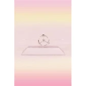 Buffer® Dekoratif Masa Üstü Obje Manyetik Kinetik Orbital Dönen Yunuslar - 4