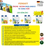 Kuşlar için KÜR 30 Günlük  ( Sezon öncesi ve Sonrası için ) Tüm Kuş Türleri için 125 ml 4 adet - 1
