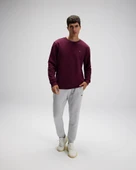 Ellesse Erkek Sweatshirt EM579-BRD Bordeaux Bordeaux XL thumbnail 6