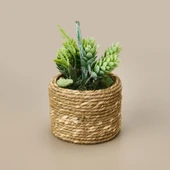 Natürel Çiçek - Asorti - 15 cm thumbnail 1