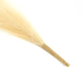 Dekoratif Tüy - Krem - 44 cm thumbnail 3