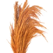 Deco Pampas Yapay Çiçek - Turuncu - 90x20 cm thumbnail 3