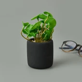 Mini Pot Soft Yaprak Saksılı Çiçek - Asorti - 8x6x6 cm thumbnail 2