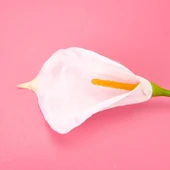 Deco Yapay Zambak Çiçeği - Beyaz - 60 cm thumbnail 3