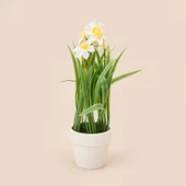 Spring Çiçek - Asorti - 6x5 cm thumbnail 1