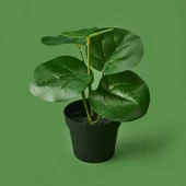 Botta Çiçek - Asorti - 24 cm thumbnail 3