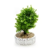 Dekoratif Çakıl Ağaç thumbnail 2