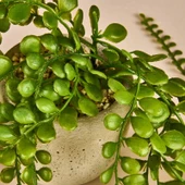 Sarkan Saksılı Yapay Çiçek - Gri / Yeşil - 13 cm - 3