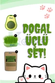 Doğal 3’lü Kedi Keyif Seti | Kedi Çimi + Catnip + Avokado | Orjinal 3'lü DOLU DOLU set thumbnail 2