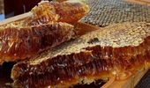 Karakovan balı - 1