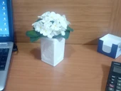 2 ADET VAZO DAHİL,VAZODA ÇİÇEK,BEYAZ YAPAY ÇİÇEK,VAZO DEKORATİF ÇİÇEKLİ KARE 8X8X16CM - 3