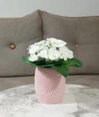 2 ADET VAZO DAHİL,VAZODA ÇİÇEK,BEYAZ YAPAY ÇİÇEK,VAZO PEMBE PETEK DESENLİ POLİRESİN 8x8x15cm - 2