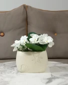 2 ADET VAZO DAHİL,VAZODA ÇİÇEK,BEYAZ YAPAY ÇİÇEK,VAZO DEKORATİF İSTİRİDYE POLİRESİN 10X5X14CM - 2