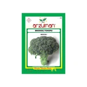 Arzuman Sebze Brokoli Tohumu - 1