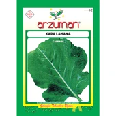 Arzuman Sebze Kara Lahana Tohum Karadeniz 10 gr - 1
