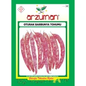 Arzuman Oturak Barbunya Tohumu - 1
