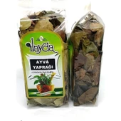 Ilayda Ayva Yaprağı - 1