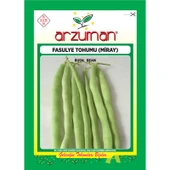 Arzuman Miray Fasulye Tohumu 50 G - 1