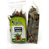 Ilayda Barut Ağacı (Rhamnus Frangula) - 1