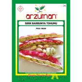 Arzuman Sırık Barbunya Tohumu 50 Gram - 1