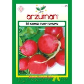 Arzuman Iri Kırmızı Turp Tohumu 25 Gram - 1