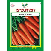 Arzuman Nantes Havuç Tohumu 10 Gram - 1
