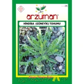 Arzuman Hindiba (Güneyik) Marul Tohumu 5 Gram - 1