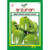 Arzuman Kandil  Biber Tohumu 10 Gram - 1